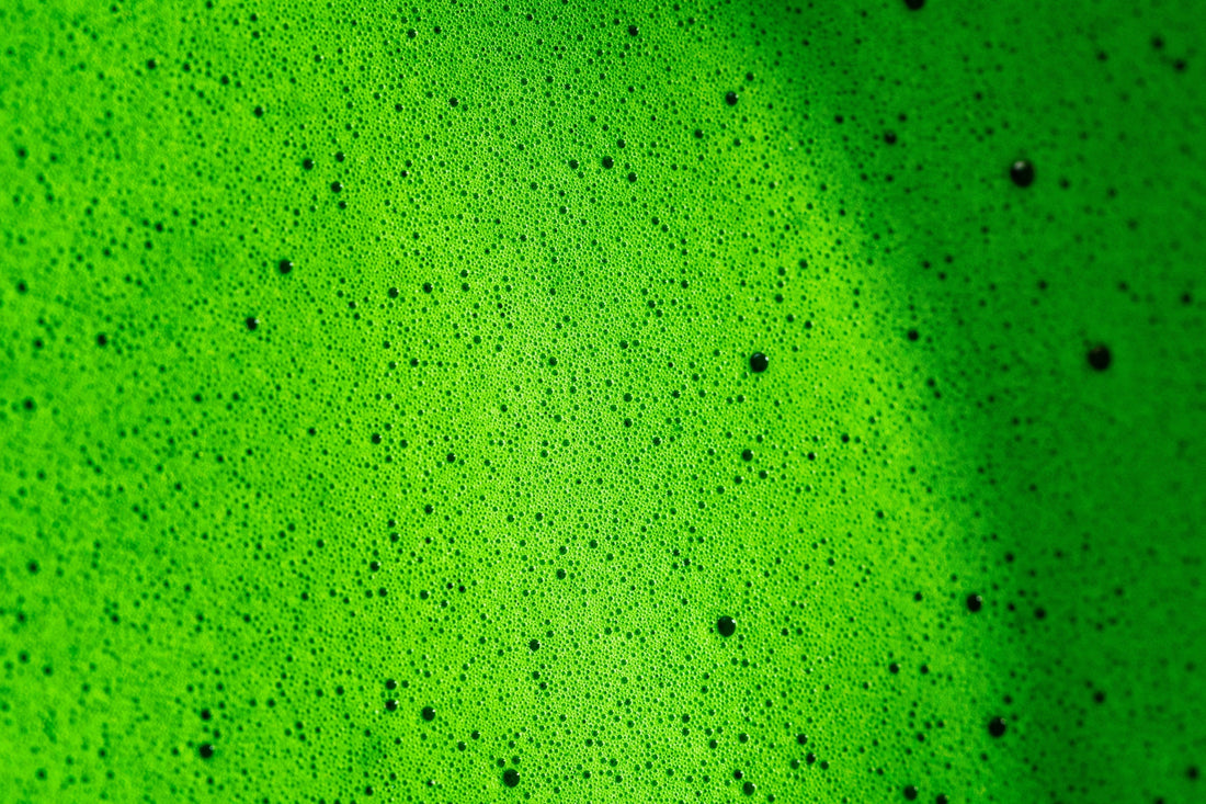 Close-up of bright green ceremonial grade matcha powder
