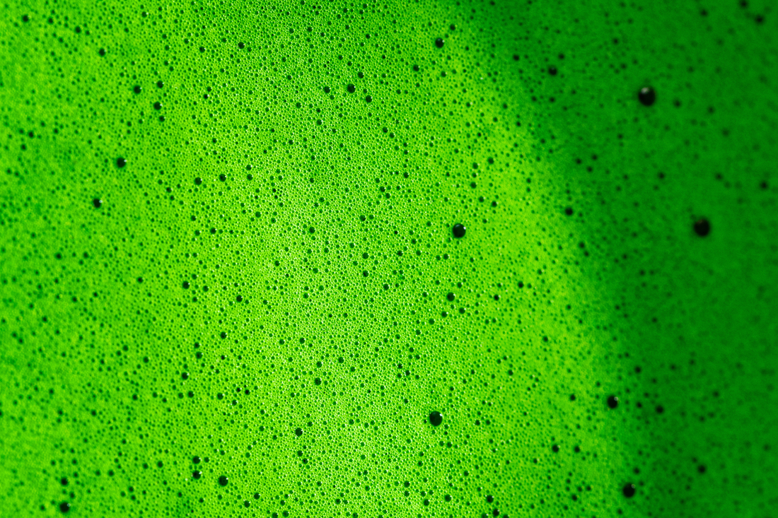 The Froth Test: How to Tell If Your Matcha Was Made Properly