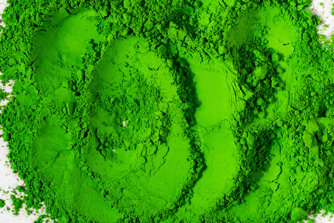 Chlorophyll in Matcha: What It Is and What It Says About Quality